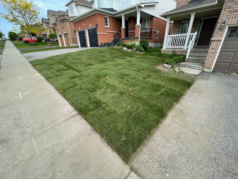 Sod Installation