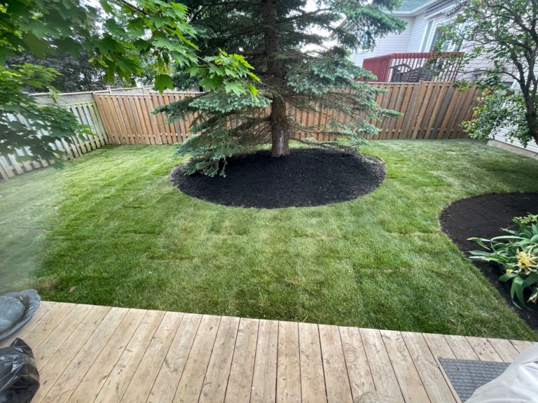 Sod Installation